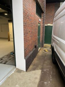 Austins-Shane Image Gallery