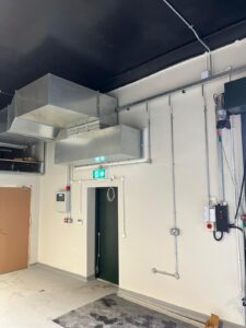 Austins-Shane Image Gallery