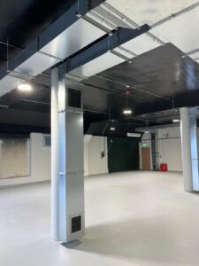 Austins-Shane Image Gallery