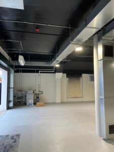 Austins-Shane Image Gallery