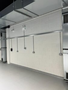 Austins-Shane Image Gallery