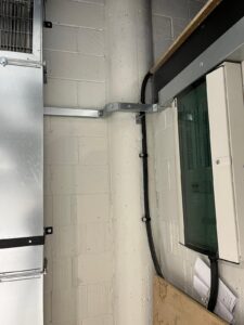 Austins-Shane Image Gallery