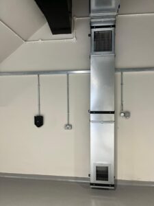 Austins-Shane Image Gallery