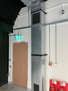 Austins-Shane Image Gallery