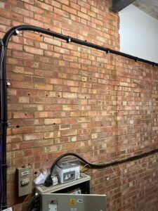 Austins-Shane Image Gallery