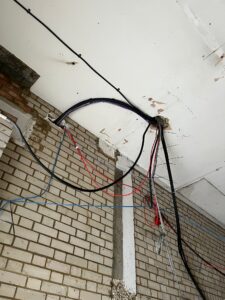 Austins-Shane Image Gallery