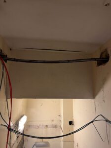 Austins-Shane Image Gallery